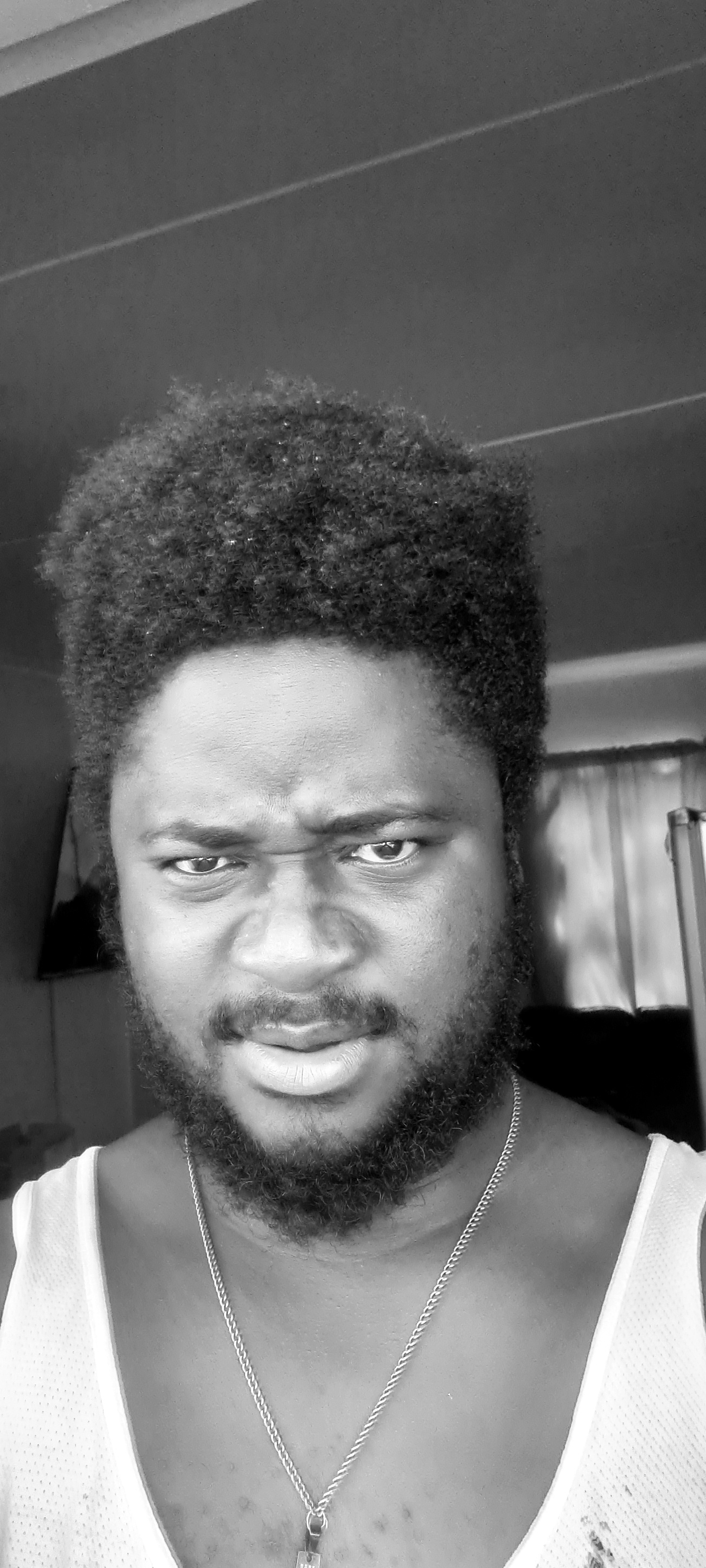 Fillemon -Iita Submission