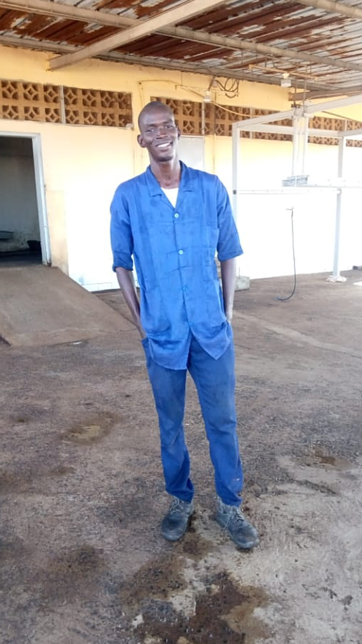 Yaya-N’diaye Submission